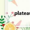 plateau的中文翻譯（plateau）