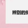 辨別的拼音怎么讀（辨別的拼音）