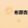 彬原杏璃磁力鏈接（彬原杏璃）