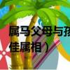 屬馬父母與孩子的最佳屬相（父母與孩子的最佳屬相）