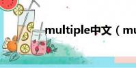 multiple中文(multiple)