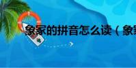 象冢的拼音怎么讀(象冢的真圖片)