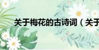 關于梅花的古詩詞(關于梅花的古詩)