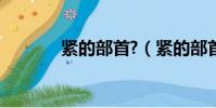 緊的部首?(緊的部首怎么讀)