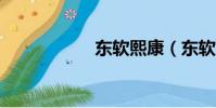 東軟熙康(東軟ufs)
