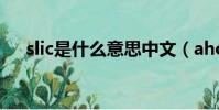slic是什么意思中文(aholic什么意思)