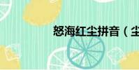 怒海紅塵拼音(塵拼音)