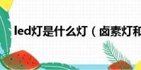led燈是什么燈(鹵素燈和led燈哪個好)