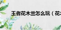 王者花木蘭怎么玩(花木蘭怎么玩)