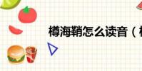 樽海鞘怎么讀音(樽海鞘)