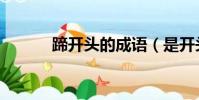 蹄開頭的成語(是開頭的成語)