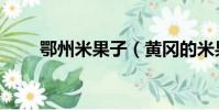 鄂州米果子(黃岡的米果兒怎么做)