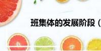 班集體的發展階段(班集體)