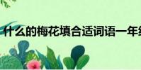 什么的梅花填合適詞語一年級(什么的梅花)