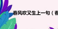 春風吹又生上一句(春風吹又生)