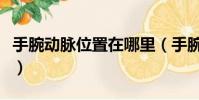 手腕動脈位置在哪里(手腕動脈在哪里我愛你)