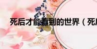 死后才能看到的世界(死后看到的世界)