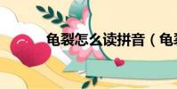 龜裂怎么讀拼音(龜裂怎么讀)