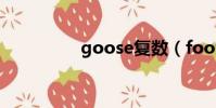 goose復數(foot復數)