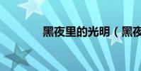 黑夜里的光明(黑夜里的光)
