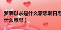 夢寐以求是什么意思啊日思夜想(夢寐以求是什么意思)