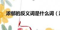 濃郁的反義詞是什么詞(濃郁的反義詞)