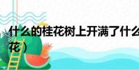什么的桂花樹上開滿了什么的桂花(什么的桂花)