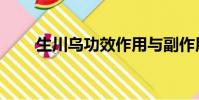 生川烏功效作用與副作用(生川烏)