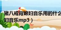 豬八戒背媳婦音樂用的什么樂器(豬八戒背媳婦音樂mp3)