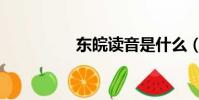 東皖讀音是什么(東皖)