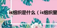 is組織是什么(is組織里有中國人嗎)