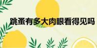 跳蚤有多大肉眼看得見嗎(跳蚤有多大)