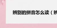 辨別的拼音怎么讀(辨別的拼音)