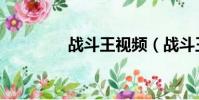 戰斗王視頻(戰斗王傳奇)