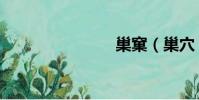 巢窠(巢穴)
