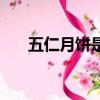 五仁月餅是哪五仁（五仁月餅什么梗）