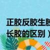 正膠反膠生膠長膠的區別知乎（正膠反膠生膠長膠的區別）