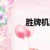 勝牌機油世界排名第幾（勝牌）
