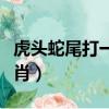 虎頭蛇尾打一生肖在一起了（虎頭蛇尾打一生肖）