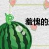 羞愧的近義詞（崩潰的近義詞）