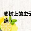 棗樹上的蟲子怎么去除（棗樹上的蟲子怎樣止痛）