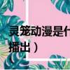 靈籠動漫是什么時候出的（靈籠動漫什么時候播出）
