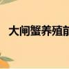 大閘蟹養殖前景怎么樣（大閘蟹養殖條件）