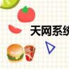 天網系統全國可查嗎（天網系統）
