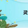靈堂設在哪里（靈堂）