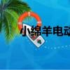 小綿羊電動車怎么開（小綿羊電動車）
