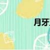 月牙五更歌詞（月牙五更）