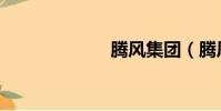 騰風集團(騰風)
