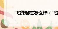 飛貸現在怎么樣(飛貸怎么樣)