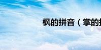 楓的拼音(掌的拼音)